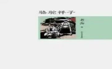 样子为作文优质8篇