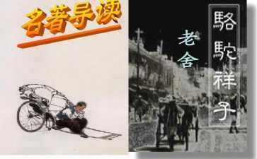 这样子的作文5篇