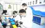 数学研究心得体会8篇