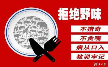 写拒绝野味的演讲稿5篇