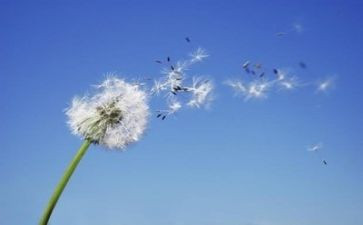 义卖活动的活动策划参考7篇