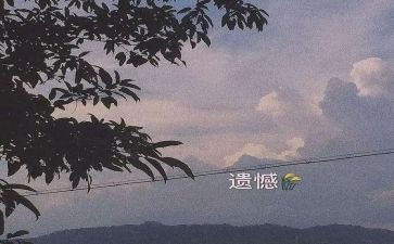 真遗憾的作文模板7篇