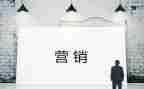 营销工作个人总结范文6篇