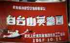 00后抗疫英雄事迹6篇