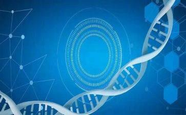 医学生大学自我鉴定500字模板8篇