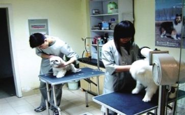 医院个人总结年度个人总结精选7篇