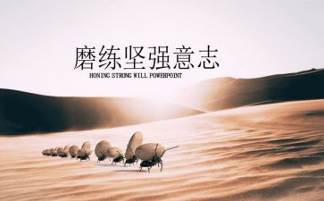 女排精神靠意志作文8篇