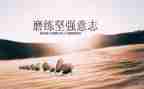 女排精神靠意志作文8篇