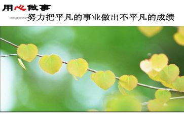 课设通用心得体会优秀7篇