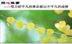 课设通用心得体会优秀7篇