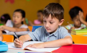 幼儿园老师的述职报告5篇