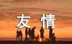 说友谊演讲稿最新6篇