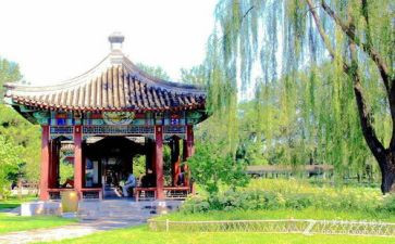 大学游园小活动策划5篇