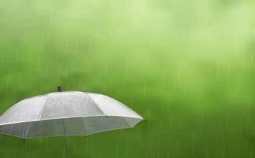 描写春天的雨的作文200字7篇