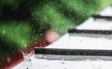 描写风和雨的作文通用7篇