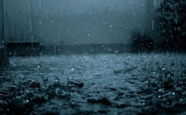 今天的雨作文300字7篇