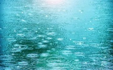 雨的细节作文优质8篇