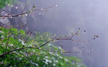 雨来的演讲稿500字优秀6篇