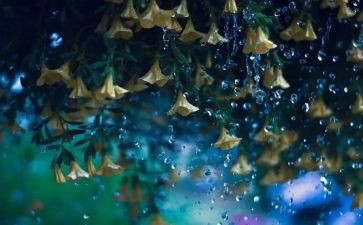 《小雨滴》教案8篇