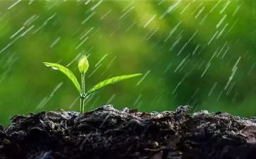 雨的礼物作文参考7篇