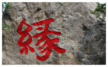 相聚是缘作文通用7篇
