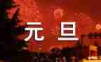 元旦幼儿园教案6篇