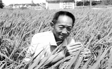 袁隆平转演讲稿优秀6篇