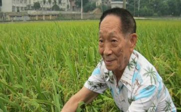 2024年袁隆平的作文模板7篇