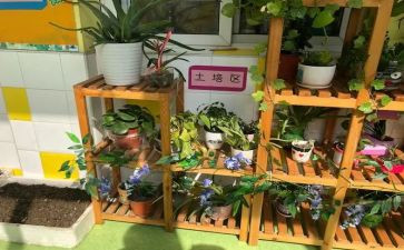幼儿园培训班主任心得体会8篇