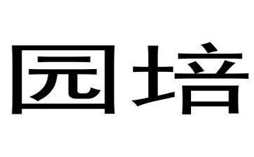 幼儿园培训语言心得6篇