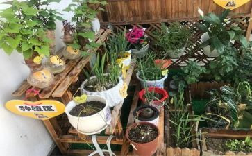 幼儿园培训语言心得推荐7篇