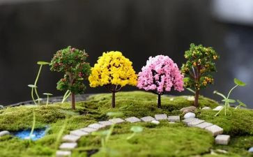 校园艺术节策划活动方案5篇