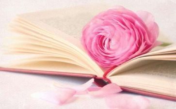 阅读会活动总结推荐5篇