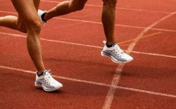 2024年职工运动会活动方案精选5篇