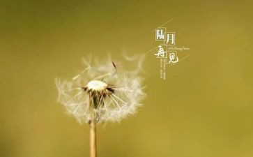 再见作文模板7篇