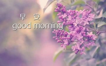 早活动活动策划精选7篇