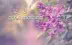 早9晚6客服人员工作总结推荐5篇