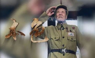 张富清心得体会7篇