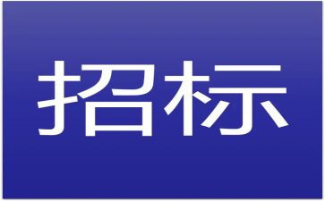 招标代理工作总结6篇