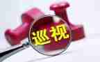 2024年巡视整改个人对照材料7篇