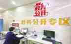 乡镇政务公开工作总结8篇