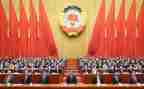 乡政协委员述职报告5篇