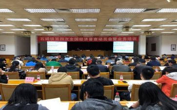 镇统计办工作总结参考5篇