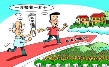 抓乡村振兴述职报告5篇