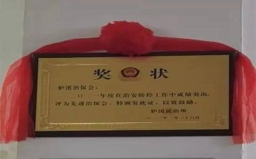 治保主任的个人总结8篇