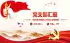 村党支部换届的工作报告6篇