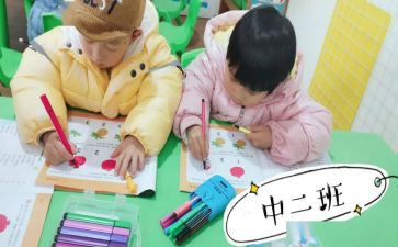 幼儿园中班语言教学活动方案8篇