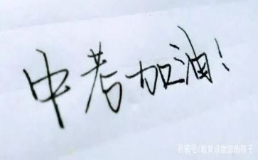 中考总结作文300字作文5篇