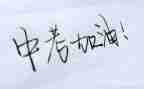 中考网演讲稿优质7篇