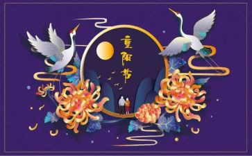 重阳节敬老院活动方案策划8篇